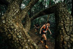 BIB: 
                            <button type="button" onclick="openModal(25669259)" class="btn btn-primary btn-sm float-right btn-popup" data-toggle="modal" data-target=".modal-high-quality">
                        <i class="fas fa-shopping-cart"></i> Add to Cart
                    </button>
                                            <button type="button" onclick="isThisMe(25669259, true)" class="btn btn-success btn-sm float-right btn-popup btn-isme hidden" data-toggle="tooltip" data-placement="bottom" title="นี่คือรูปของคุณใช่ไหม คลิกที่นี่เพื่อเอาเข้าอัลบั้ม">
                        <i class="fas fa-plus"></i> Add to album
                    </button>
                    <button type="button" onclick="isThisMe(25669259, false)" class="btn btn-warning btn-sm float-right btn-popup btn-isnotme hidden">
                        <i class="fas fa-ban"></i> Remove from album
                    </button>